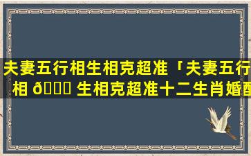 夫妻五行相生相克超准「夫妻五行相 🐈 生相克超准十二生肖婚配相生相克」